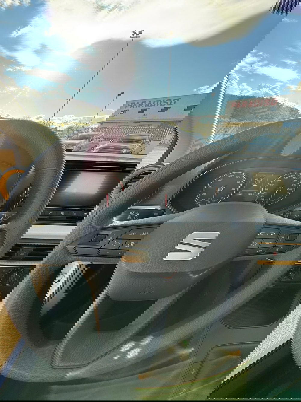 SEAT Ibiza usata a Cosenza (11)