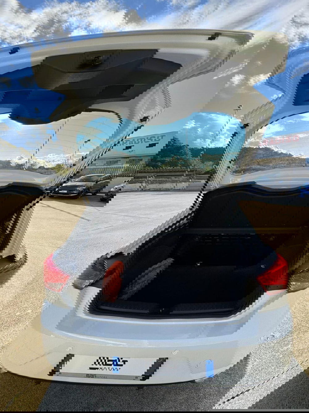 SEAT Ibiza usata a Cosenza (13)