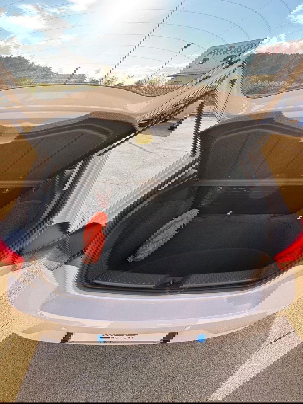 SEAT Ibiza usata a Cosenza (14)