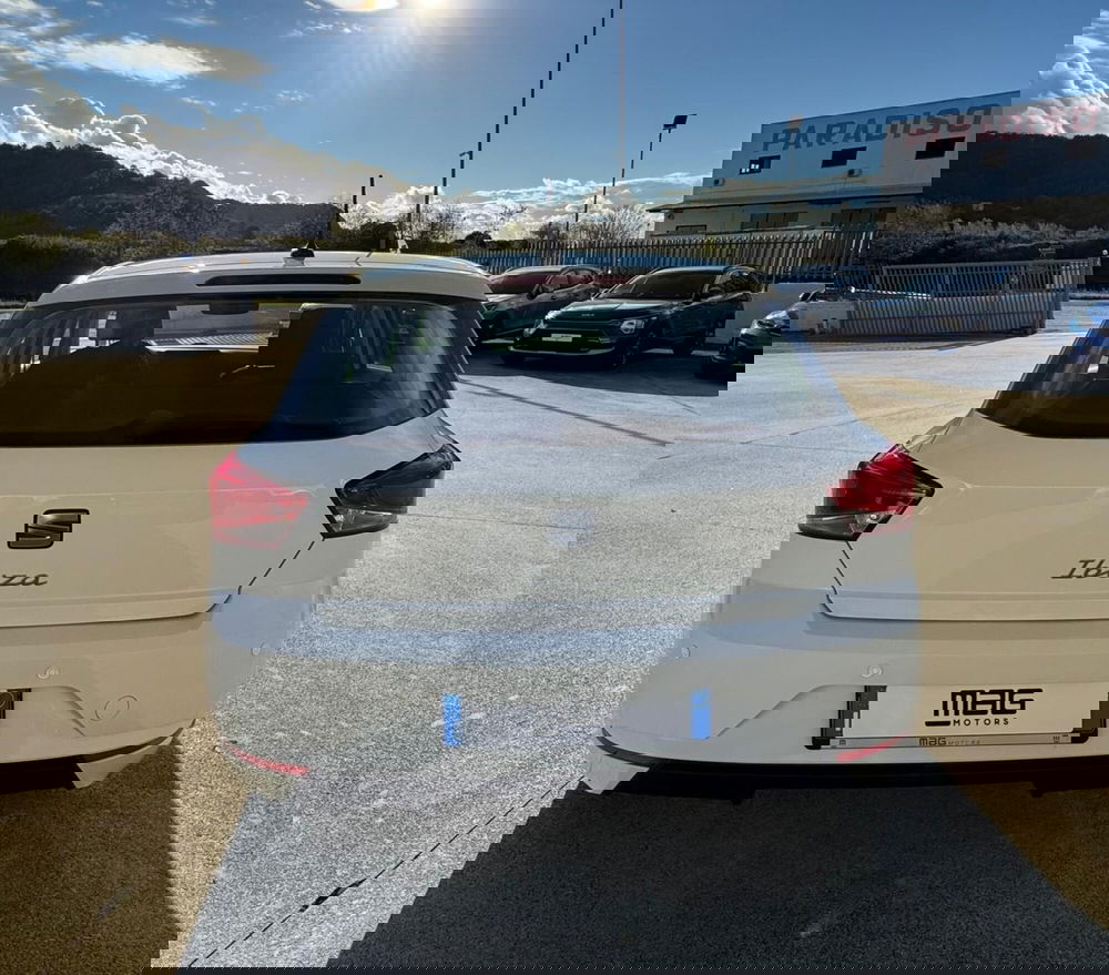 SEAT Ibiza usata a Cosenza (6)