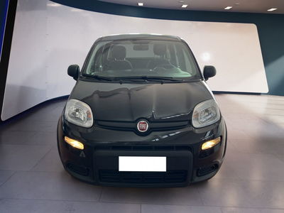 Fiat Panda 1.0 firefly hybrid s&amp;s 70cv del 2024 usata a Torino