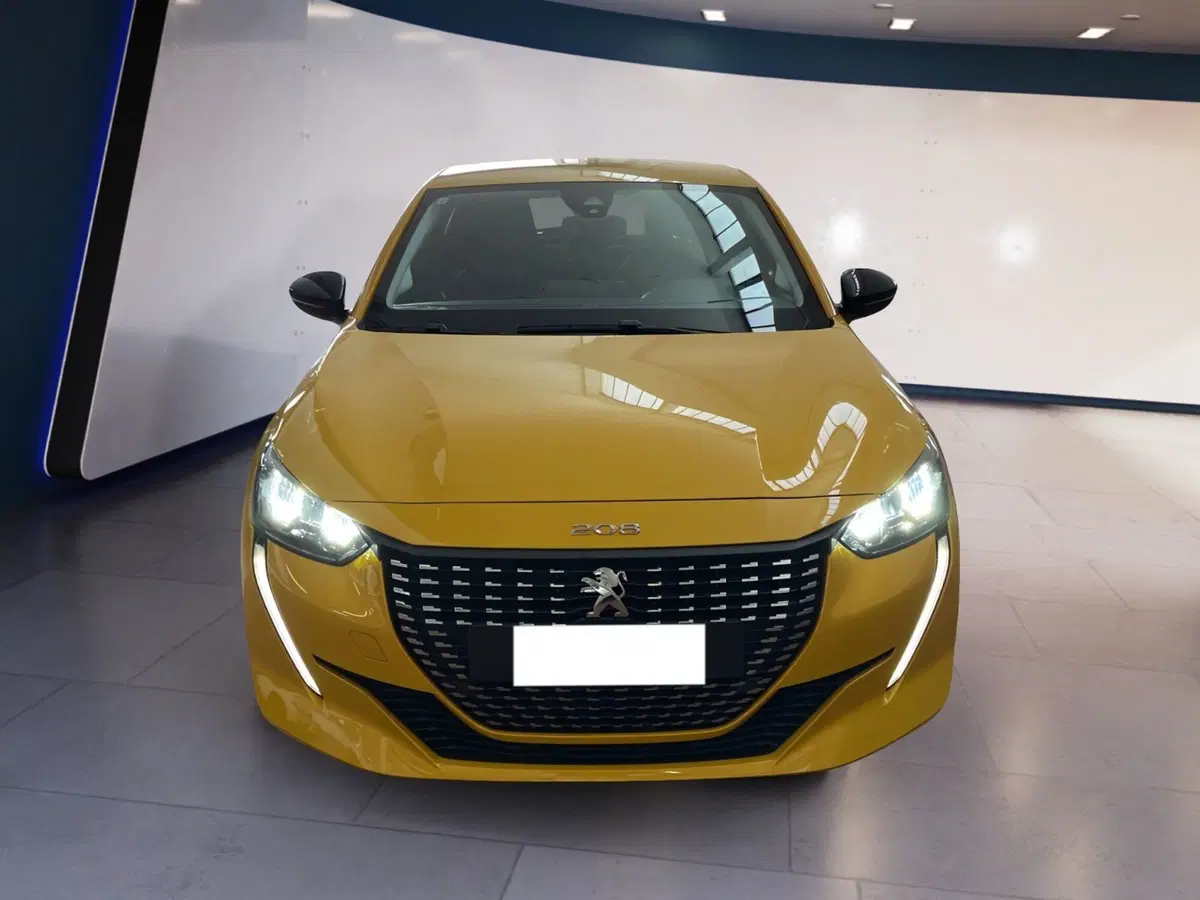 Peugeot 208 usata a Torino