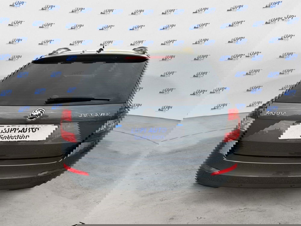 Skoda Octavia Station Wagon usata a Pistoia (4)