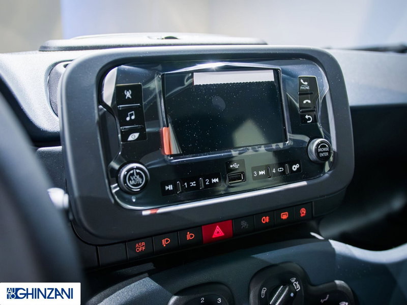 Fiat Panda Cross nuova a Bergamo (14)