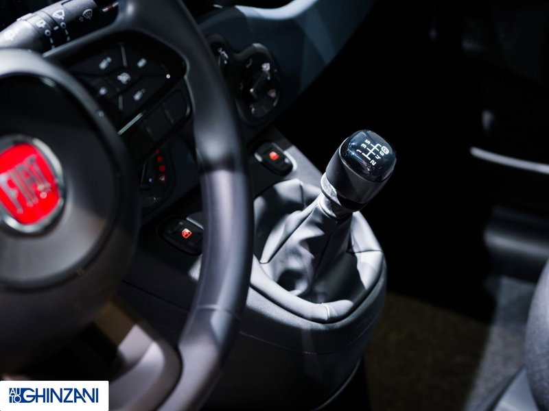 Fiat Panda Cross nuova a Bergamo (16)
