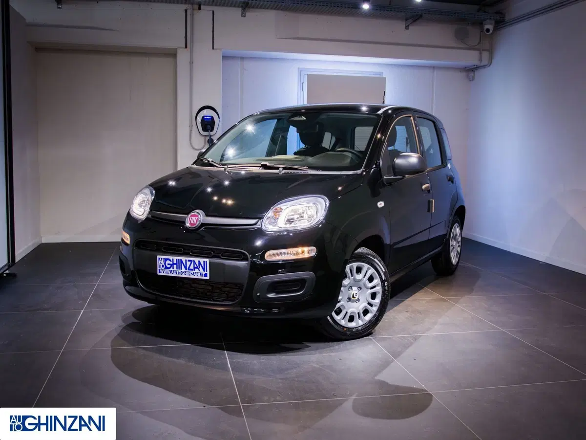 Fiat Panda Cross nuova a Bergamo (2)
