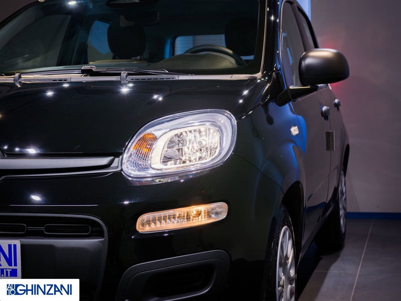 Fiat Panda Cross nuova a Bergamo (17)