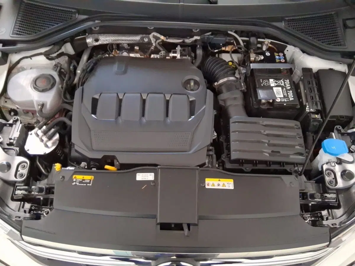 Volkswagen T-Roc usata a Bologna (12)