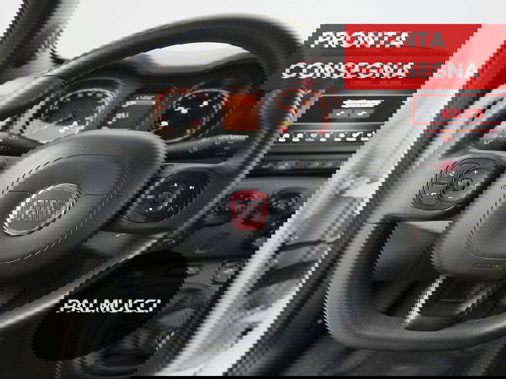 Fiat Panda Cross usata a Prato (13)