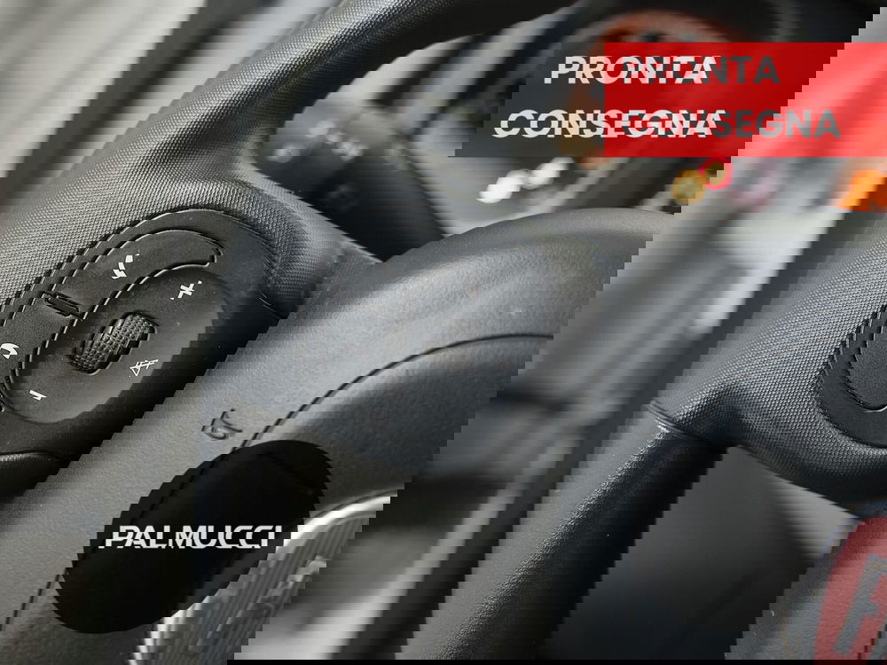 Fiat Panda Cross usata a Prato (15)