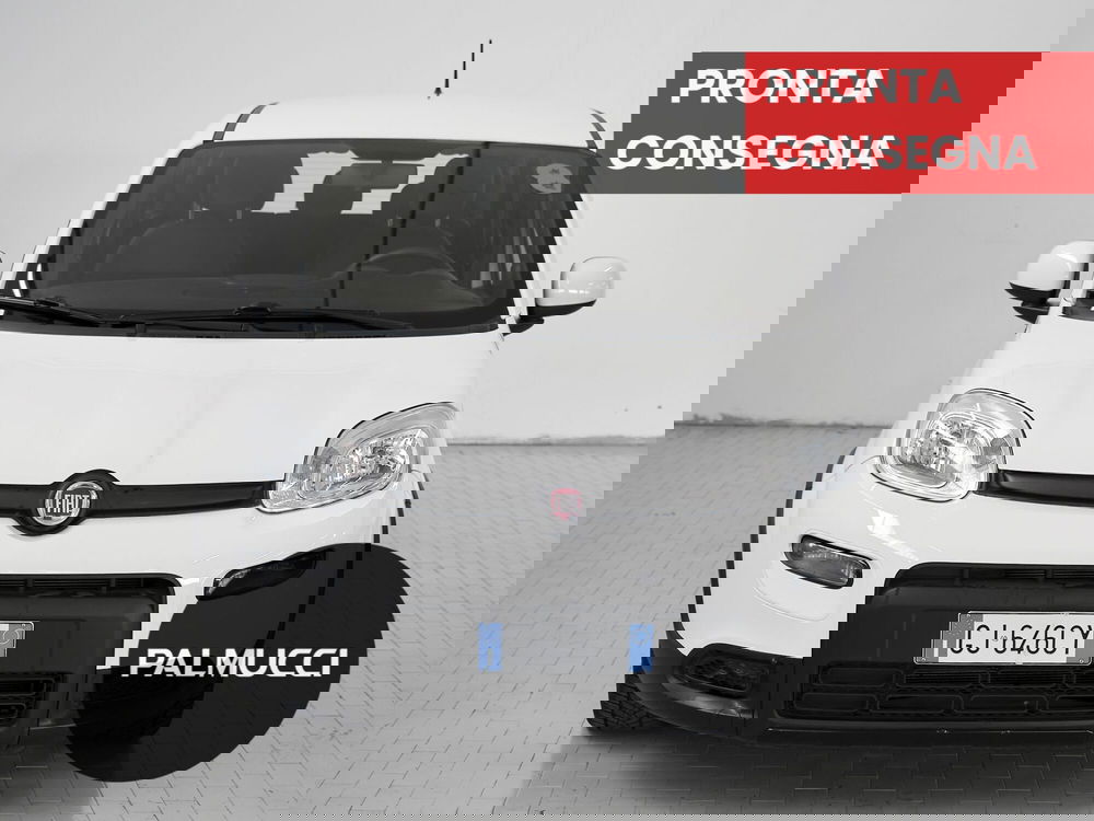 Fiat Panda Cross usata a Prato (2)