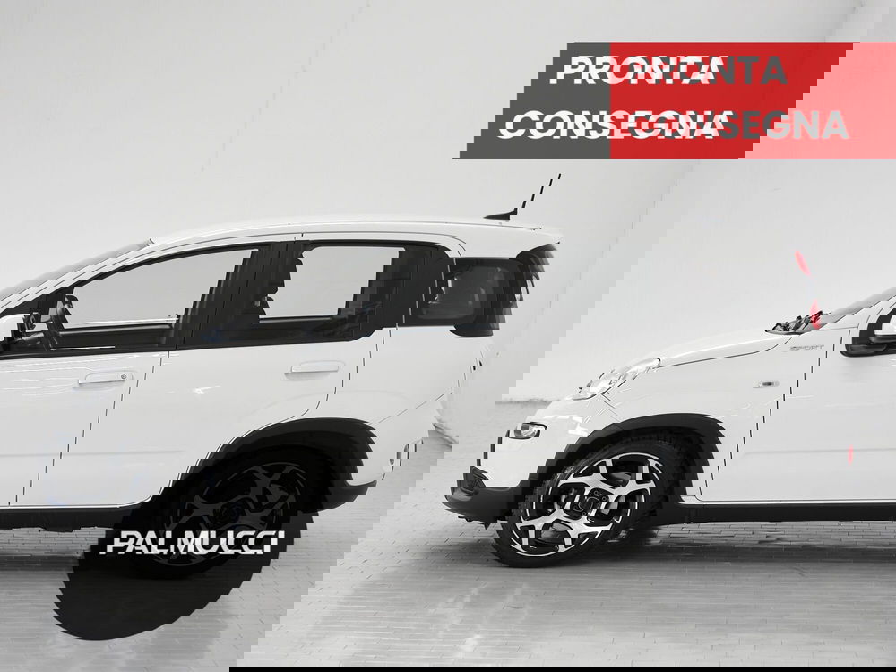 Fiat Panda Cross usata a Prato (3)