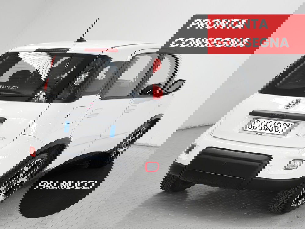 Fiat Panda Cross usata a Prato (4)