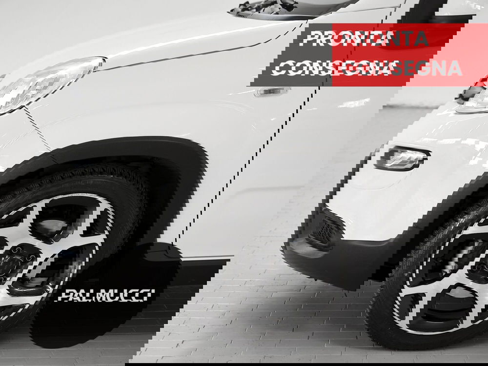 Fiat Panda Cross usata a Prato (6)