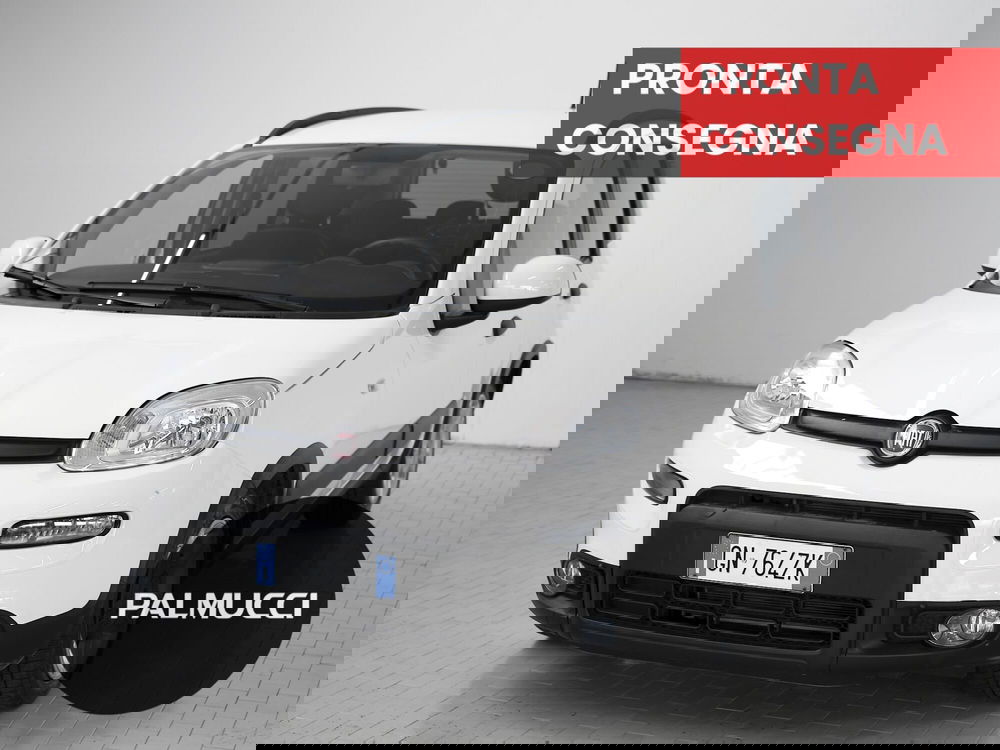 Fiat Panda usata a Prato