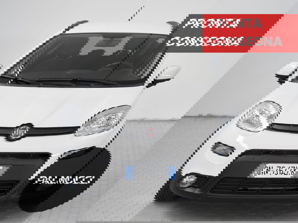 Fiat Panda usata a Prato (2)