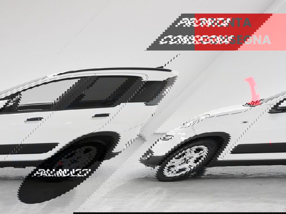 Fiat Panda usata a Prato (4)