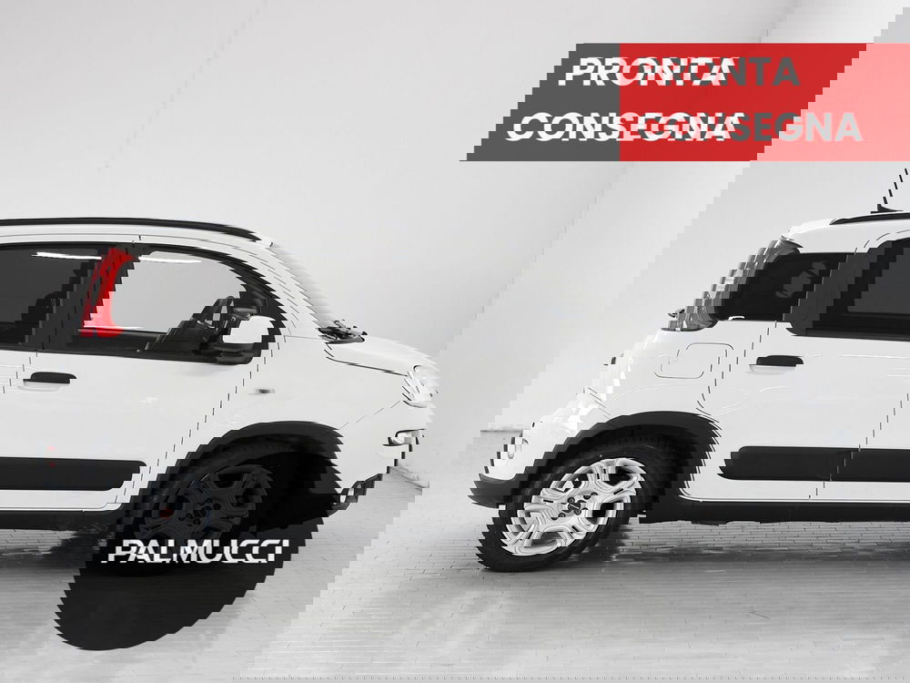 Fiat Panda usata a Prato (5)