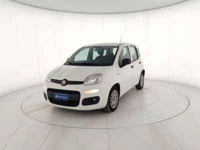 Fiat Panda 1.3 MJT 95 CV S&amp;S Easy del 2018 usata a Massa