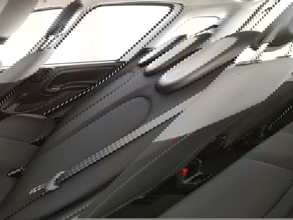 Fiat Panda usata a Massa-Carrara (10)