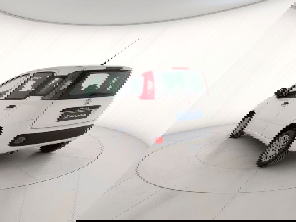 Fiat Panda usata a Massa-Carrara (2)