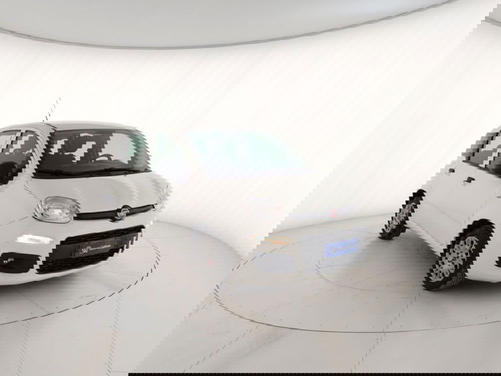 Fiat Panda usata a Massa-Carrara (4)