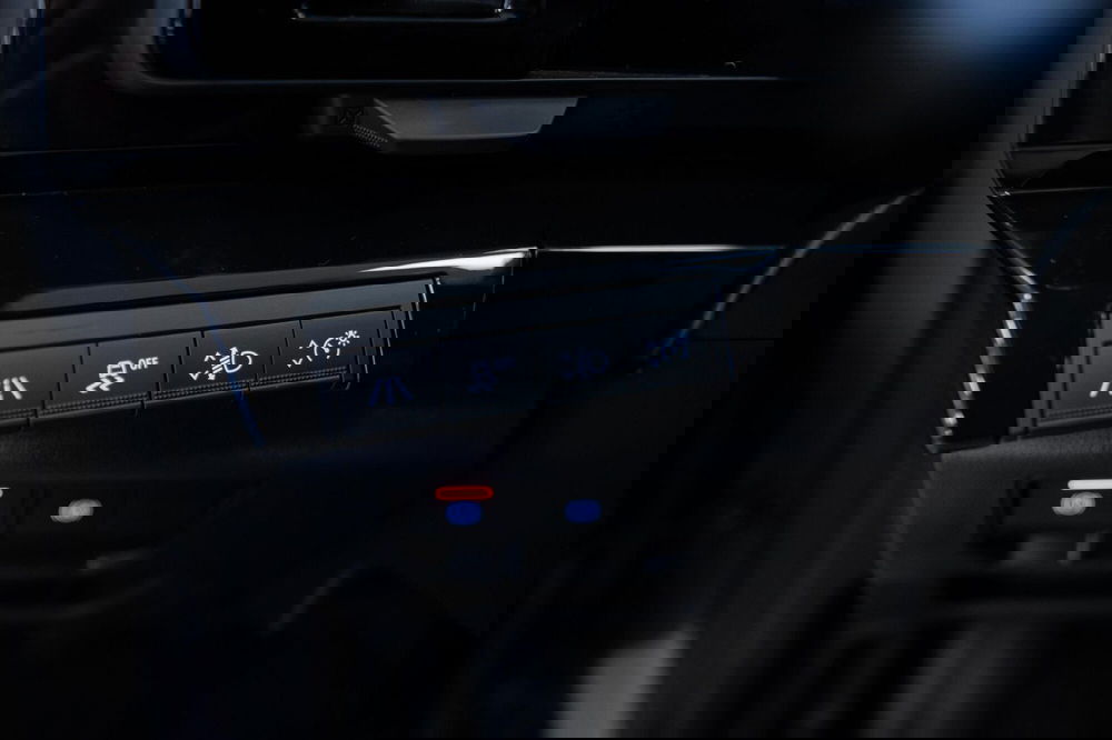 Renault Austral usata a Torino (12)