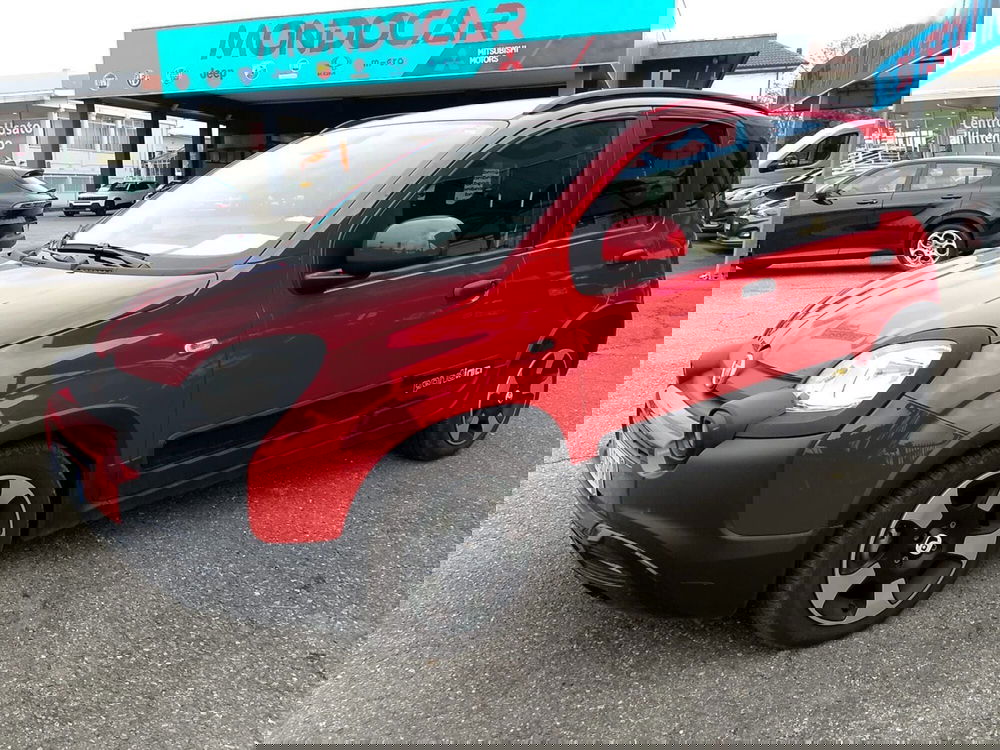 Fiat Panda Cross usata a Torino