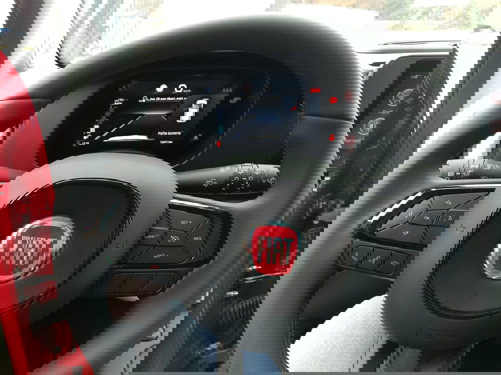 Fiat Panda Cross usata a Torino (10)