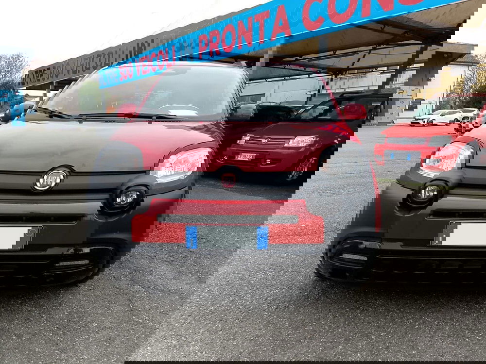 Fiat Panda Cross usata a Torino (2)