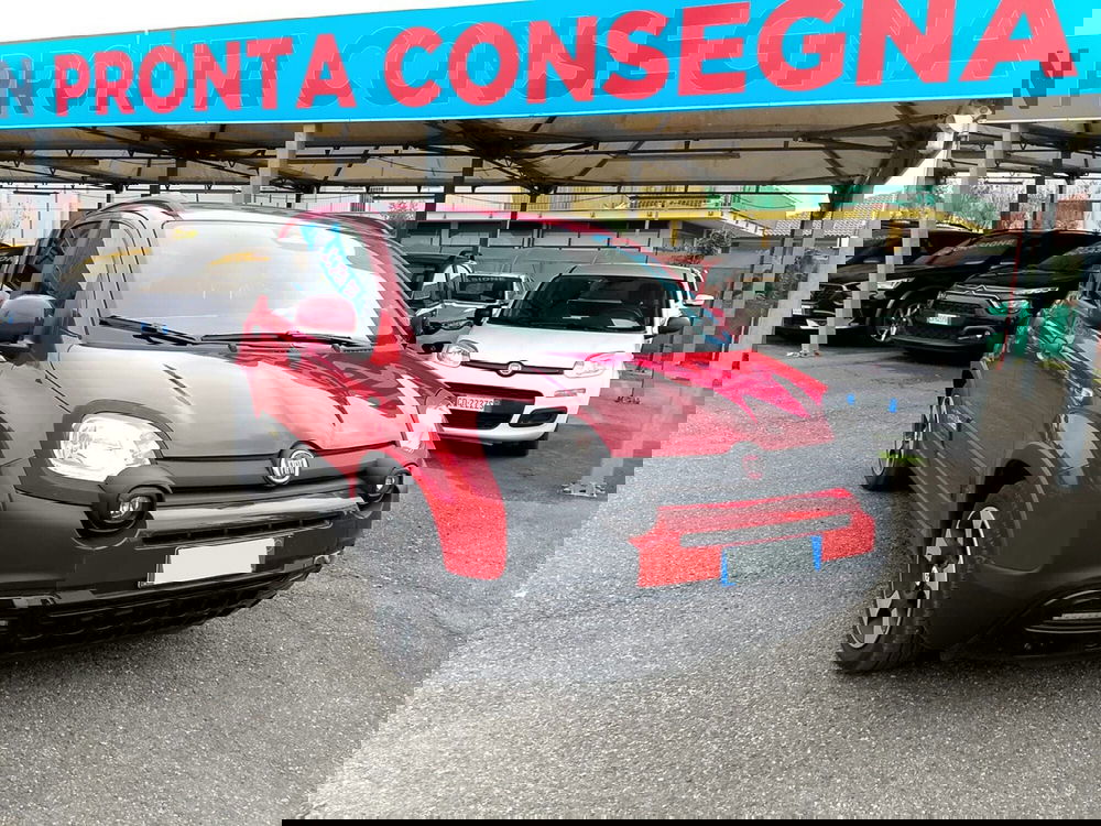 Fiat Panda Cross usata a Torino (3)