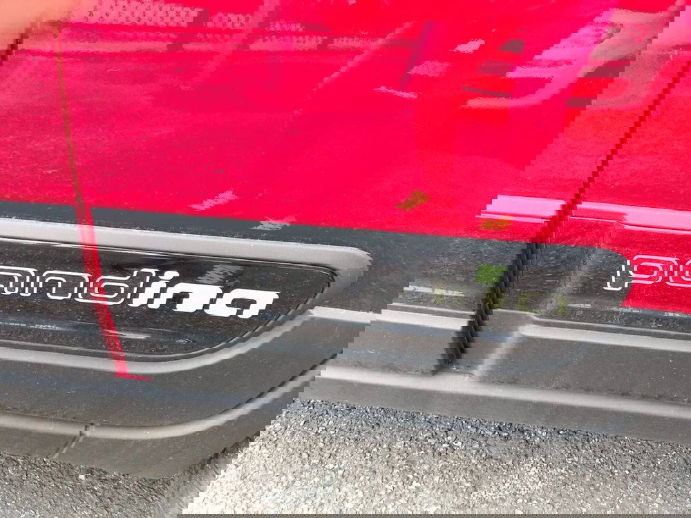 Fiat Panda Cross usata a Torino (6)