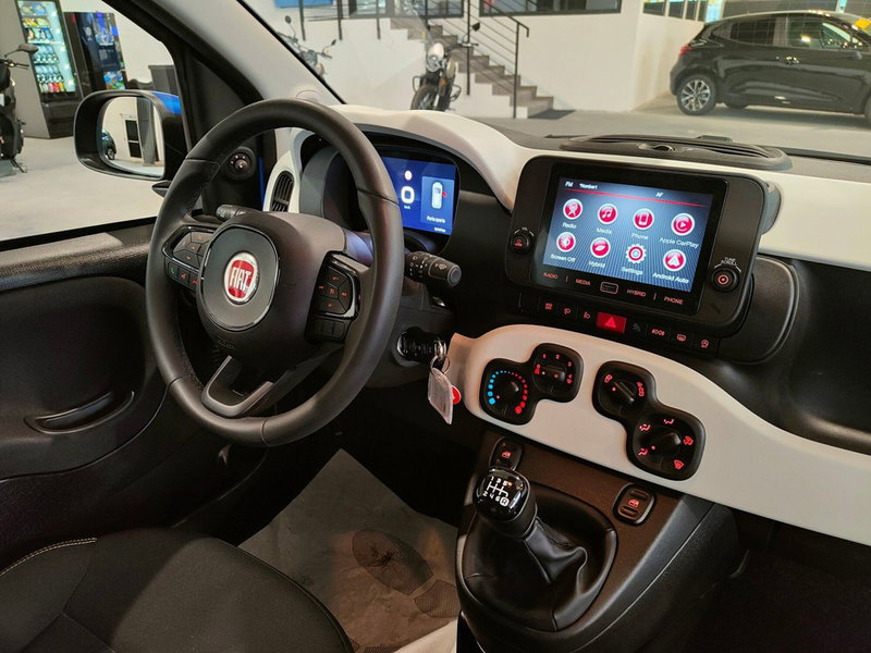 Fiat Panda Cross usata a Torino (20)