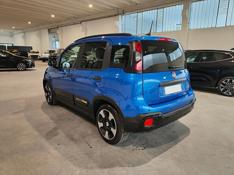 Fiat Panda Cross usata a Torino (7)