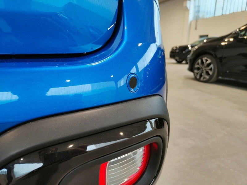 Fiat Panda Cross usata a Torino (9)