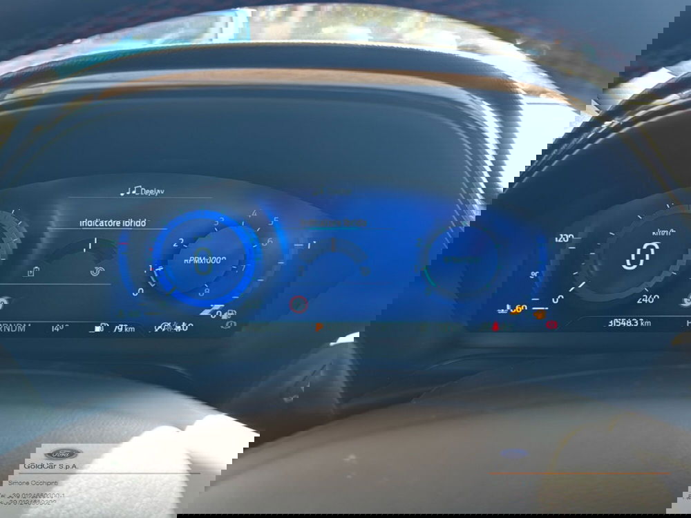 Ford Puma usata a Torino (14)