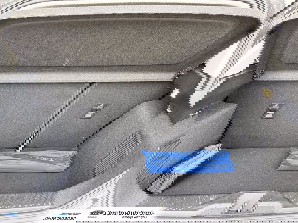 Ford Fiesta usata a Roma (11)