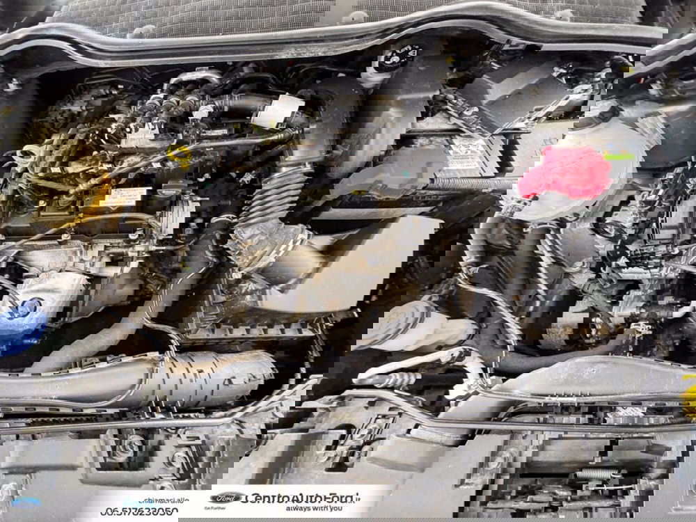Ford Fiesta usata a Roma (12)