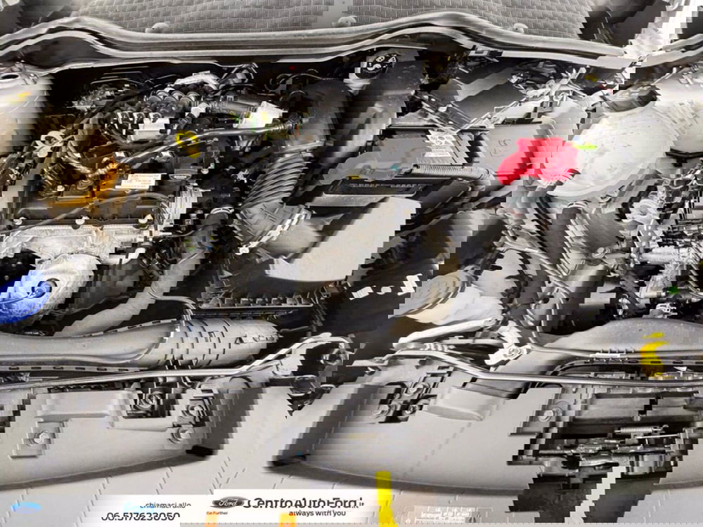 Ford Fiesta usata a Roma (12)