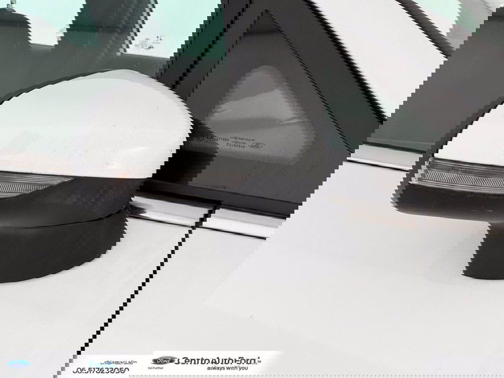 Ford Fiesta usata a Roma (15)