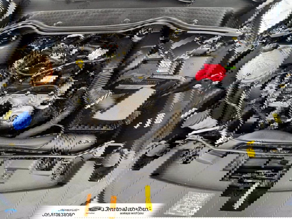 Ford Fiesta usata a Roma (12)