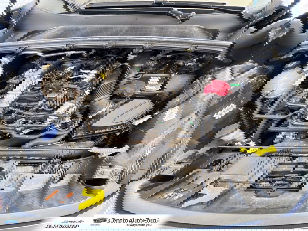 Ford Puma usata a Roma (12)