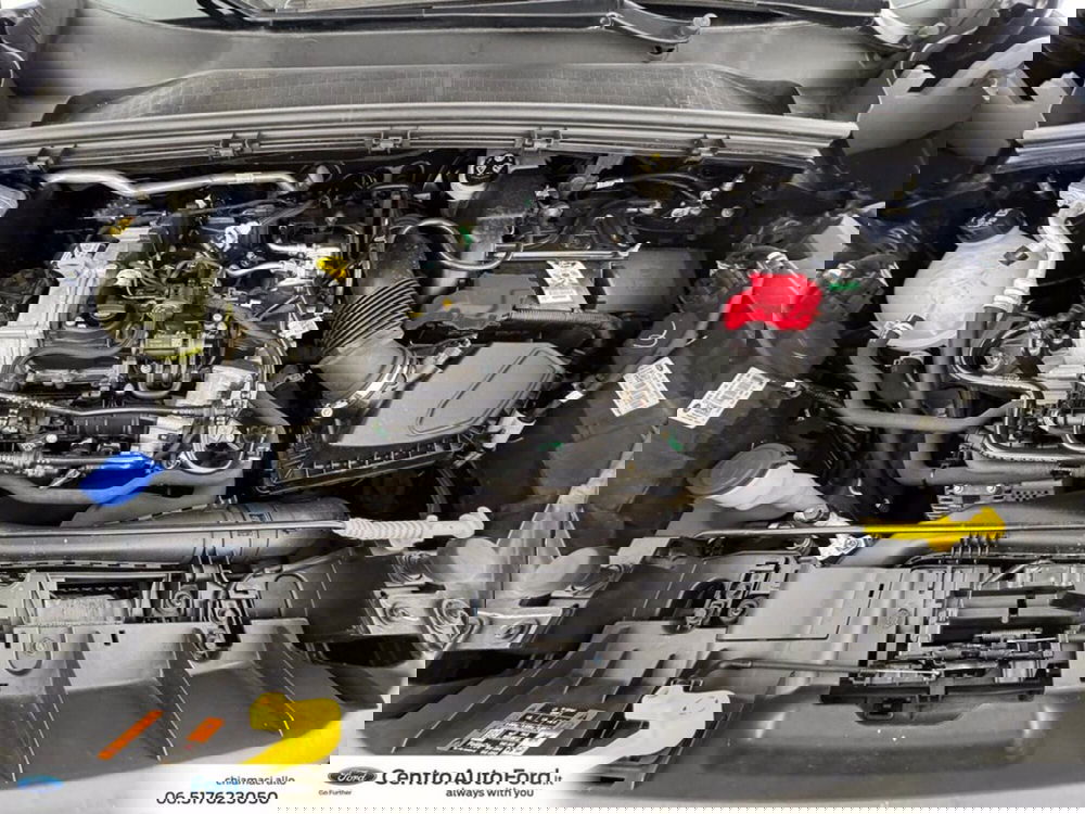 Ford Puma usata a Roma (12)