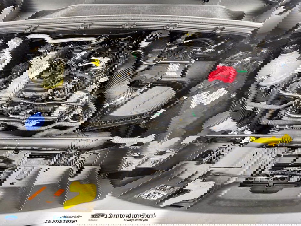 Ford Puma usata a Roma (12)