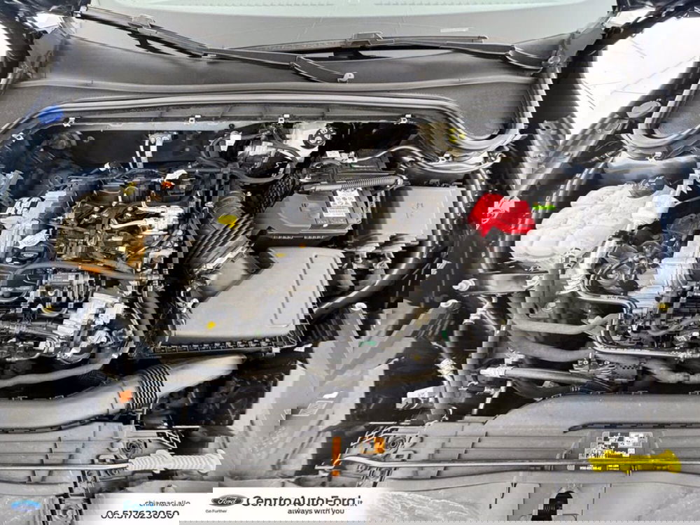 Ford Focus usata a Roma (12)