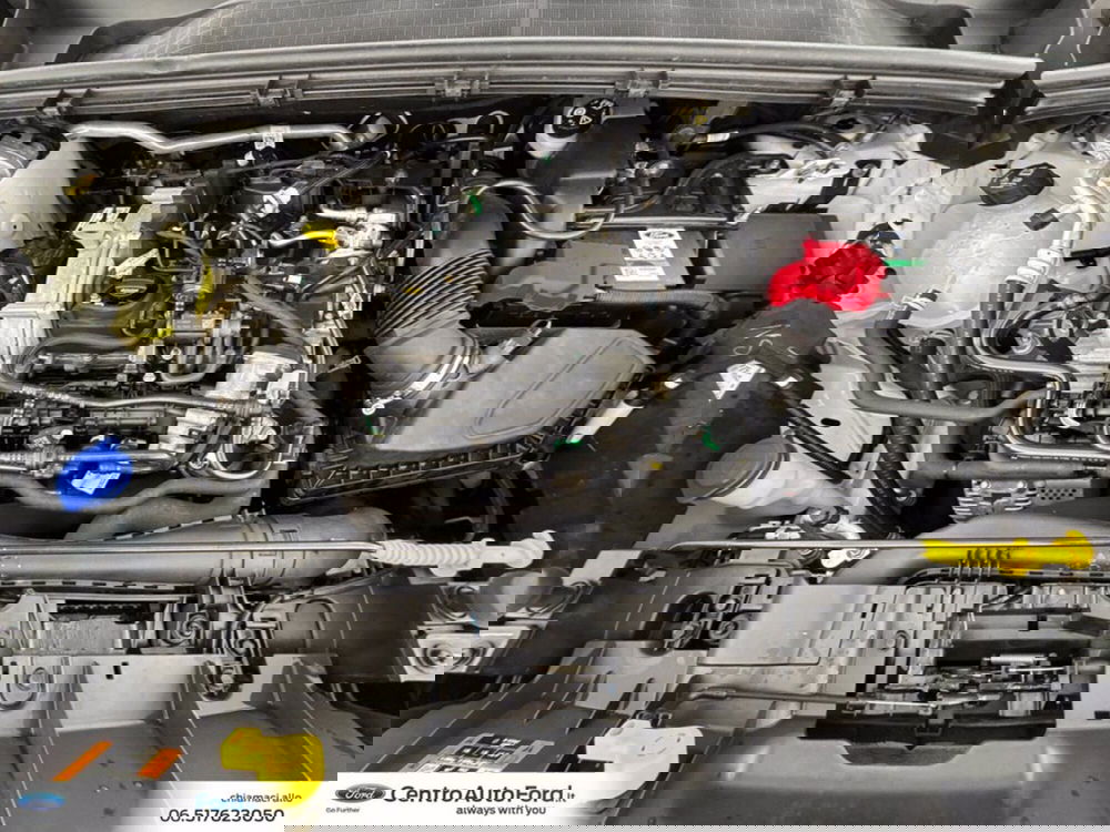 Ford Puma usata a Roma (12)