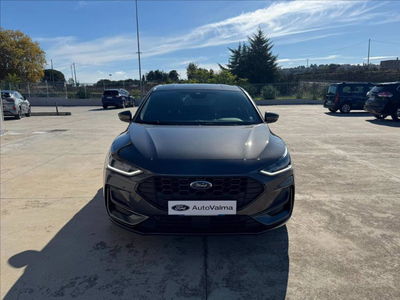 Ford Focus 1.0t ecoboost h ST-Line X 125cv del 2023 usata a Matera