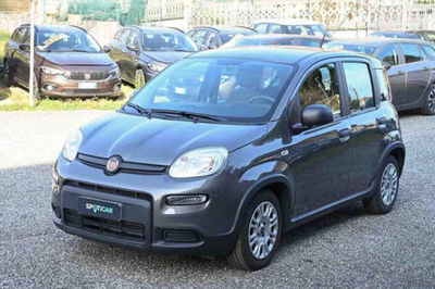 Fiat Panda 1.0 firefly hybrid s&amp;s 70cv 5p.ti del 2022 usata a Pianezza
