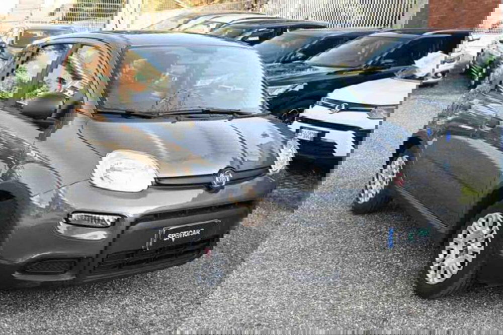 Fiat Panda usata a Torino (3)