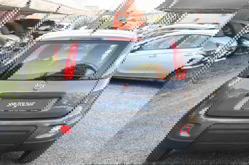 Fiat Panda usata a Torino (6)